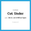 cut under แปลว่า?, คำศัพท์ภาษาอังกฤษ cut under แปลว่า ตัดราคา, ลดราคาให้ต่ำลงกว่าคู่แข่ง ประเภท PHRV หมวด PHRV