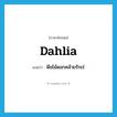 dahlia แปลว่า?, คำศัพท์ภาษาอังกฤษ dahlia แปลว่า พืชไม้ดอกคล้ายรักเร่ ประเภท N หมวด N