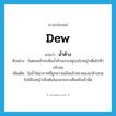 dew แปลว่า?, คำศัพท์ภาษาอังกฤษ dew แปลว่า น้ำค้าง ประเภท N ตัวอย่าง ในตอนเช้าจะเห็นน้ำค้างเกาะอยู่บนใบหญ้าเต็มไปทั่วบริเวณ เพิ่มเติม ไอน้ำในอากาศที่ถูกความเย็นแล้วหยาดลงมาค้างบนใบไม้ใบหญ้าเป็นต้นในเวลากลางคืนหรือเช้ามืด หมวด N