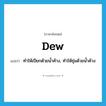 dew แปลว่า?, คำศัพท์ภาษาอังกฤษ dew แปลว่า ทำให้เปียกด้วยน้ำค้าง, ทำให้ชุ่มด้วยน้ำค้าง ประเภท VT หมวด VT