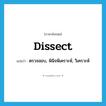 dissect แปลว่า?, คำศัพท์ภาษาอังกฤษ dissect แปลว่า ตรวจสอบ, พินิจพิเคราะห์, วิเคราะห์ ประเภท VT หมวด VT