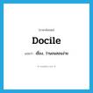 docile แปลว่า?, คำศัพท์ภาษาอังกฤษ docile แปลว่า เชื่อง, ว่านอนสอนง่าย ประเภท ADJ หมวด ADJ