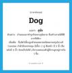 สุนัข ภาษาอังกฤษ?, คำศัพท์ภาษาอังกฤษ สุนัข แปลว่า dog ประเภท N ตัวอย่าง บ้านของเขาทำธุรกิจเพาะสุนัขขาย ซึ่งสร้างรายได้ที่ดีมากทีเดียว เพิ่มเติม ชื่อสัตว์เลี้ยงลูกด้วยนมหลายชนิดหลายสกุลในวงศ์ Canidae ลำตัวมีขนปกคลุม มีเขี้ยว 2 คู่ ตีนหน้า มี 5 นิ้ว ตีนหลังมี 4 นิ้ว ซ่อนเล็บไม่ได้ อวัยวะเพศของตัวผู้มีกระดูกอยู่ภายใน 1 ชิ้น หมวด N