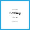 ลา ภาษาอังกฤษ?, คำศัพท์ภาษาอังกฤษ ลา แปลว่า donkey ประเภท N หมวด N