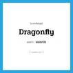 dragonfly แปลว่า?, คำศัพท์ภาษาอังกฤษ dragonfly แปลว่า แมลงปอ ประเภท N หมวด N