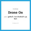 drone on แปลว่า?, คำศัพท์ภาษาอังกฤษ drone on แปลว่า พูดเสียงต่ำ, ร่ายยาวด้วยเสียงต่ำๆ, พูดพึมพำ ประเภท PHRV หมวด PHRV