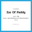 รวง ภาษาอังกฤษ?, คำศัพท์ภาษาอังกฤษ รวง แปลว่า ear of paddy ประเภท N ตัวอย่าง หุ่นไล่กามีไว้เพื่อให้นกกากลัว ไม่ให้มาจิกกินเมล็ดข้าวจากรวง หมวด N