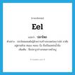 eel แปลว่า?, คำศัพท์ภาษาอังกฤษ eel แปลว่า ปลาไหล ประเภท N ตัวอย่าง ปลาไหลผสมพันธุ์ด้วยการสร้างหวอดก่อนวางไข่ อาศัยอยู่ตามห้วย หนอง คลอง บึง ซึ่งเป็นแหล่งน้ำนิ่ง เพิ่มเติม ชื่อปลารูปร่างกลมยาวคล้ายงู หมวด N