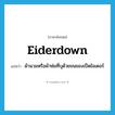 eiderdown แปลว่า?, คำศัพท์ภาษาอังกฤษ eiderdown แปลว่า ผ้านวมหรือผ้าห่มที่บุด้วยขนของเป็ดไอเดอร์ ประเภท N หมวด N