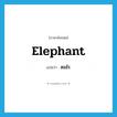 elephant แปลว่า?, คำศัพท์ภาษาอังกฤษ elephant แปลว่า ดมไร ประเภท N หมวด N