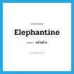 elephantine แปลว่า?, คำศัพท์ภาษาอังกฤษ elephantine แปลว่า คล้ายช้าง ประเภท ADJ หมวด ADJ