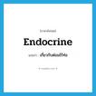 endocrine แปลว่า?, คำศัพท์ภาษาอังกฤษ endocrine แปลว่า เกี่ยวกับต่อมไร้ท่อ ประเภท ADJ หมวด ADJ