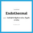 endothermal แปลว่า?, คำศัพท์ภาษาอังกฤษ endothermal แปลว่า โดยมีปฏิกริยาที่ดูดซับความร้อน, ซึ่งดูดซับความร้อน ประเภท ADJ หมวด ADJ