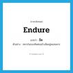 endure แปลว่า?, คำศัพท์ภาษาอังกฤษ endure แปลว่า อึด ประเภท V ตัวอย่าง ทหารในกองทัพค่อนข้างอึดอยู่พอสมควร หมวด V