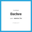 หลอกลวง, โกง ภาษาอังกฤษ?, คำศัพท์ภาษาอังกฤษ หลอกลวง, โกง แปลว่า euchre ประเภท VT หมวด VT