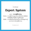 expert system แปลว่า?, คำศัพท์ภาษาอังกฤษ expert system แปลว่า ระบบผู้เชี่ยวชาญ ประเภท N ตัวอย่าง ระบบผู้เชี่ยวชาญถูกออกแบบให้ช่วยในการตัดสินใจโดยใช้วิธีเดียวกับผู้เชี่ยวชาญที่เป็นมนุษย์ เพิ่มเติม ระบบที่ใช้เครื่องคอมพิวเตอร์ในการเก็บข้อมูลความรู้และประสบการณ์ของผู้เชี่ยวชาญ หมวด N