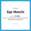 eye muscle แปลว่า?, คำศัพท์ภาษาอังกฤษ eye muscle แปลว่า กล้ามเนื้อตา ประเภท N ตัวอย่าง ถ้าหากต้องมองสีต่างๆ สลับกันไปมาตลอด จะทำให้กล้ามเนื้อตาต้องคอยปรับอยู่ตลอดเวลา หมวด N