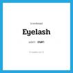 ขนตา ภาษาอังกฤษ?, คำศัพท์ภาษาอังกฤษ ขนตา แปลว่า eyelash ประเภท N หมวด N