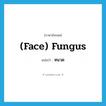 (face) fungus แปลว่า?, คำศัพท์ภาษาอังกฤษ (face) fungus แปลว่า หนวด ประเภท SL หมวด SL