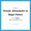 female attendants in royal palace แปลว่า?, คำศัพท์ภาษาอังกฤษ female attendants in royal palace แปลว่า นักสนม ประเภท N เพิ่มเติม หญิงคนใช้ในพระราชวัง หมวด N