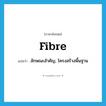 fibre แปลว่า?, คำศัพท์ภาษาอังกฤษ fibre แปลว่า ลักษณะสำคัญ, โครงสร้างพื้นฐาน ประเภท N หมวด N