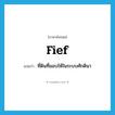 fief แปลว่า?, คำศัพท์ภาษาอังกฤษ fief แปลว่า ที่ดินที่มอบให้ในระบบศักดินา ประเภท N หมวด N