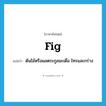 fig. แปลว่า?, คำศัพท์ภาษาอังกฤษ fig แปลว่า ต้นไม้หรือผลตระกูลมะเดื่อ ไทรและกร่าง ประเภท N หมวด N