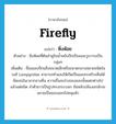 หิ่งห้อย ภาษาอังกฤษ?, คำศัพท์ภาษาอังกฤษ หิ่งห้อย แปลว่า firefly ประเภท N ตัวอย่าง หิ่งห้อยที่ต้นลำพูริมน้ำขยับปีกเรืองและวูบวาบเป็นกลุ่มๆ เพิ่มเติม ชื่อแมลงปีกแข็งขนาดเล็กหรือขนาดกลางหลายชนิดในวงศ์ Lampyridae สามารถทำแสงให้เกิดเป็นแสงกะพริบเห็นได้ชัดเจนในเวลากลางคืน ความถี่และช่วงของแสงนั้นแตกต่างไปแล้วแต่ชนิด ลำตัวยาวเป็นรูปทรงกระบอก สันหลังปล้องอกมักจะขยายเป็นขอบออกไปคลุมหัว หมวด N