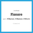 fissure แปลว่า?, คำศัพท์ภาษาอังกฤษ fissure แปลว่า ทำให้แยกออก, ทำให้แตกออก, ทำให้กะเทาะ ประเภท VT หมวด VT