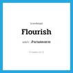 flourish แปลว่า?, คำศัพท์ภาษาอังกฤษ flourish แปลว่า สำนวนสละสลวย ประเภท N หมวด N