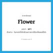 flower แปลว่า?, คำศัพท์ภาษาอังกฤษ flower แปลว่า ผกา ประเภท N ตัวอย่าง ในสวนร่มรื่นไปด้วยผกาหลากสีส่งกลิ่นหอมชื่นใจ หมวด N