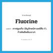 fluorine แปลว่า?, คำศัพท์ภาษาอังกฤษ fluorine แปลว่า สารฟลูออรีน (สัญลักษณ์ทางเคมีคือ F), ก๊าซพิษสีเหลืองจางๆ ประเภท N หมวด N