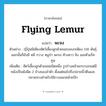 flying lemur แปลว่า?, คำศัพท์ภาษาอังกฤษ flying lemur แปลว่า พะจง ประเภท N ตัวอย่าง ญี่ปุ่นมีเพียงสัตว์เลี้ยงลูกด้วยนมบนบกเพียง 118 พันธุ์ นอกนั้นก็ยังมี หมี กวาง หมูป่า พะจง ค้างคาว ลิง และตัวแร็คคูน เพิ่มเติม สัตว์เลี้ยงลูกด้วยนมชนิดหนึ่ง รูปร่างคล้ายกระรอกแต่มีหนังเป็นพังผืด 2 ข้างของลำตัว ตั้งแต่คอไปถึงปลายนิ้วตีนและปลายหางสำหรับใช้กางออกคล้ายปีก หมวด N