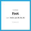 foot แปลว่า?, คำศัพท์ภาษาอังกฤษ foot แปลว่า ส่วนล่าง, ฐาน, ตีน, โคน, เชิง ประเภท N หมวด N