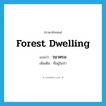 forest dwelling แปลว่า?, คำศัพท์ภาษาอังกฤษ forest dwelling แปลว่า วนาศรม ประเภท N เพิ่มเติม ที่อยู่ในป่า หมวด N