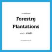 forestry plantations แปลว่า?, คำศัพท์ภาษาอังกฤษ forestry plantations แปลว่า สวนป่า ประเภท N หมวด N