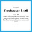 ขม ภาษาอังกฤษ?, คำศัพท์ภาษาอังกฤษ ขม แปลว่า freshwater snail ประเภท N เพิ่มเติม ชื่อหอยน้ำจืดกาบเดี่ยวในวงศ์ Viviparidae เปลือกขนาดประมาณเท่าหัวแม่มือ ยอดแหลม สีเขียวหรือดำ ออกลูกเป็นตัว มีหลายชนิด เช่น ชนิด Filopaludina sumatrensis, F. doliari หมวด N