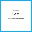 gam แปลว่า?, คำศัพท์ภาษาอังกฤษ gam แปลว่า ฝูงปลาวาฬที่กำลังอพยพ ประเภท N หมวด N