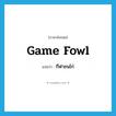 game fowl แปลว่า?, คำศัพท์ภาษาอังกฤษ game fowl แปลว่า กีฬาชนไก่ ประเภท N หมวด N