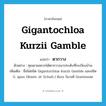 ตากวาง ภาษาอังกฤษ?, คำศัพท์ภาษาอังกฤษ ตากวาง แปลว่า Gigantochloa kurzii Gamble ประเภท N ตัวอย่าง คุณยายอยากได้ตากวางมาประดับที่ระเบียงบ้าน เพิ่มเติม ชื่อไผ่ชนิด Gigantochloa kurzii Gamble และชนิด G. apus (Roem. et Schult.) Kurz ในวงศ์ Gramineae หมวด N