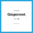 ขิง ภาษาอังกฤษ?, คำศัพท์ภาษาอังกฤษ ขิง แปลว่า gingerroot ประเภท N หมวด N