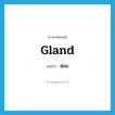 gland แปลว่า?, คำศัพท์ภาษาอังกฤษ gland แปลว่า ต่อม ประเภท N หมวด N