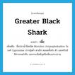 เพี้ย ภาษาอังกฤษ?, คำศัพท์ภาษาอังกฤษ เพี้ย แปลว่า Greater black shark ประเภท N เพิ่มเติม ชื่อปลาน้ำจืดชนิด Morulius chrysophekadion ในวงศ์ Cyprinidae ปากงุ้มต่ำ ตาเล็ก ตลอดทั้งหัว ตัว และครีบมีสีม่วงจนดำทึบ เฉพาะเกล็ดมีจุดสีเหลืองประปราย หมวด N