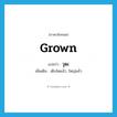 grown แปลว่า?, คำศัพท์ภาษาอังกฤษ grown แปลว่า วุฒ ประเภท ADJ เพิ่มเติม เติบโตแล้ว, ใหญ่แล้ว หมวด ADJ