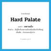 hard palate แปลว่า?, คำศัพท์ภาษาอังกฤษ hard palate แปลว่า เพดานแข็ง ประเภท N ตัวอย่าง ฉันรู้สึกเจ็บเพดานแข็งเหมือนมีอะไรไปทิ่มอยู่ เพิ่มเติม ส่วนบนของอุ้งปาก หมวด N