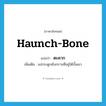 haunch-bone แปลว่า?, คำศัพท์ภาษาอังกฤษ haunch-bone แปลว่า ตะคาก ประเภท N เพิ่มเติม แง่กระดูกเชิงกรานที่อยู่ใต้บั้นเอว หมวด N