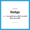 hedge แปลว่า?, คำศัพท์ภาษาอังกฤษ hedge แปลว่า นำแนวพุ่มไม้มาล้อมรอบพื้นที่, นำแนวต้นไม้เตี้ยๆมาล้อมรอบพื้นที่ ประเภท VT หมวด VT