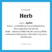 สมุนไพร ภาษาอังกฤษ?, คำศัพท์ภาษาอังกฤษ สมุนไพร แปลว่า herb ประเภท N ตัวอย่าง เวลาเจ็บไข้ได้ป่วยชาวชนบทจะใช้สมุนไพรรักษา เนื่องจากอยู่ห่างไกลจากสถานีอนามัย เพิ่มเติม ผลิตผลธรรมชาติได้จากพืช สัตว์ และแร่ธาตุ ที่ใช้เป็นยาหรือผสมกับสารอื่นตามตำรับยา เพื่อบำบัดโรค บำรุงร่างกาย หรือใช้เป็นยาพิษ หมวด N