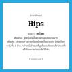 hips แปลว่า?, คำศัพท์ภาษาอังกฤษ hips แปลว่า ตะโพก ประเภท N ตัวอย่าง ผู้หญิงคนนั้นตะโพกกลมสวยงามมาก เพิ่มเติม ส่วนของร่างกายเบื้องหลังถัดบั้นเอวลงไป มีเนื้อเป็นกระพุ้งทั้ง 2 ข้าง, กล้ามเนื้อส่วนบนที่นูนขึ้นของโคนขาสัตว์สองเท้าหรือโคนขาหลังของสัตว์สี่เท้า หมวด N