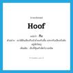 hoof แปลว่า?, คำศัพท์ภาษาอังกฤษ hoof แปลว่า กีบ ประเภท N ตัวอย่าง เขาได้ยินเสียงกีบม้าย่ำลงกับพื้น แทรกกับเสียงเรือดังอยู่พักใหญ่ เพิ่มเติม เล็บที่หุ้มเท้าสัตว์บางชนิด หมวด N